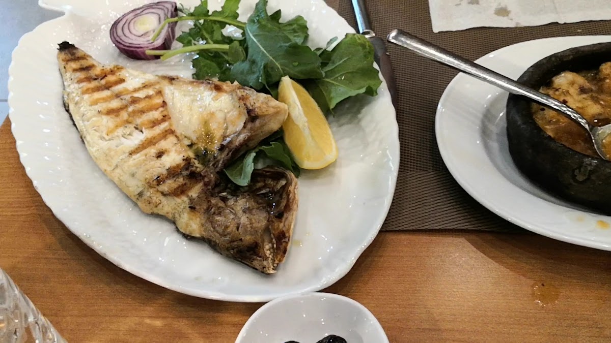 Büyükşehir Gemlik Atatepe Sosyal Tesisi-2