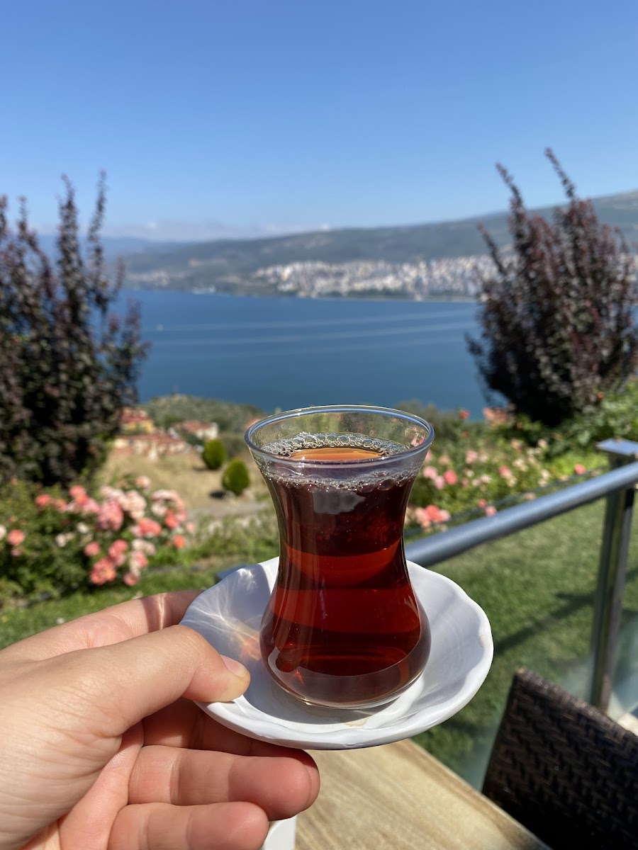 Büyükşehir Gemlik Atatepe Sosyal Tesisi-5