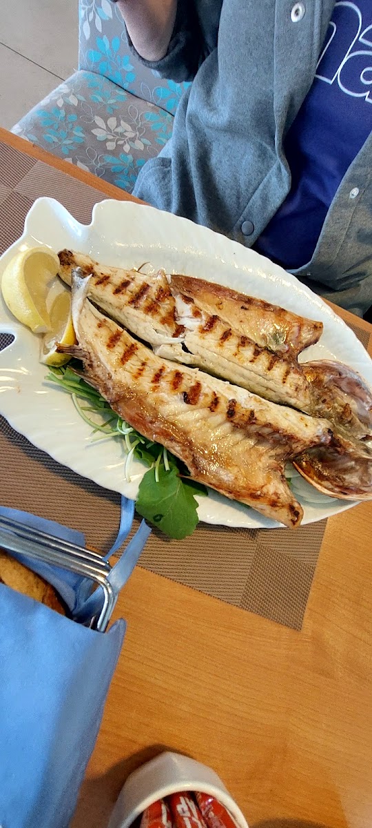 Büyükşehir Gemlik Atatepe Sosyal Tesisi-6